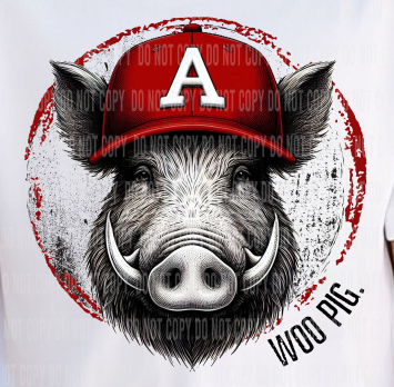 Arkansas Razorbacks Woo Pig Unisex Mascot Circle AR DTF Transfer