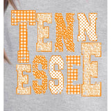 Tennessee Decorated Letters Graphic T-shirt TN Volunteers
