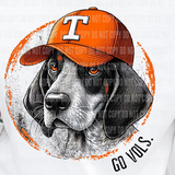 Tennessee Volunteers Unisex Mascot Circle TN DTF Transfer Go Vols