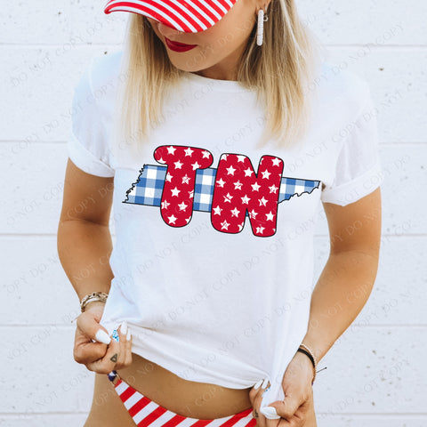 Tennessee TN Gingham and Stars Patriotic Design DTF Print